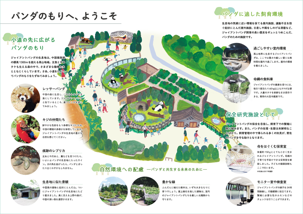 パンダのもり オープン 施設紹介パンフレットができました 上野動物園のジャイアントパンダ情報サイト Ueno Panda Jp