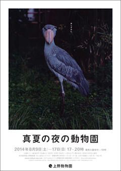 真夏の夜の動物園ポスター