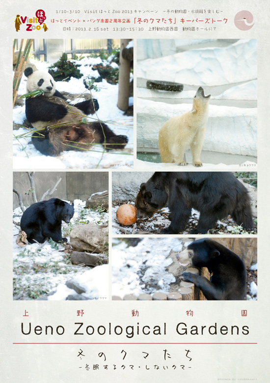 クマトークチラシ