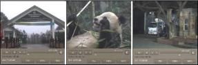 中国からの長旅のようす