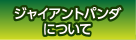 ジャイアントパンダについて