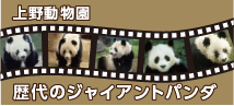 上野動物園 歴代のジャイアントパンダ