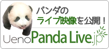 UenoPandaLive.jp パンダのライブ映像を公開！