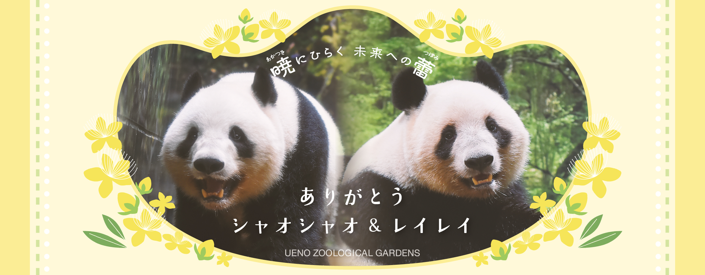 ありがとうシャオシャオ＆レイレイ