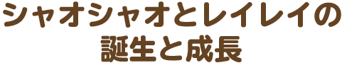 シャオシャオとレイレイの誕生と成長