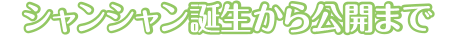 シャンシャン誕生から公開まで