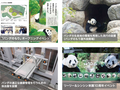 ジャイアントパンダ保護サポート基金について ひろげよう パンダの夢 上野動物園のジャイアントパンダ情報サイト Ueno Panda Jp