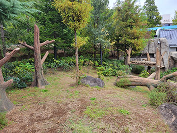 放飼場の電気柵移設工事